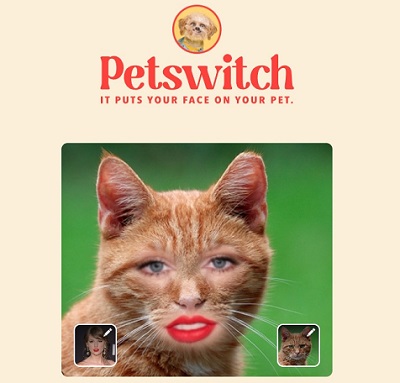 Petswitch İnsan Yüzlü Hayvanı Koyun